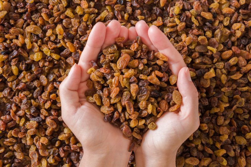 hands holding raisins in Portage